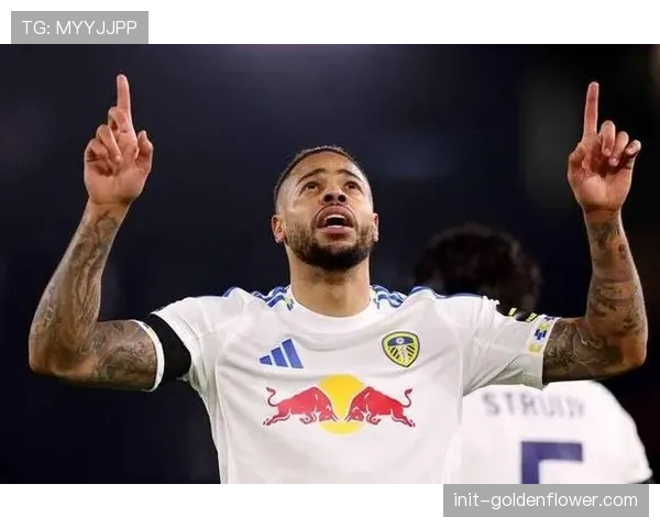 利兹联1-0富勒姆