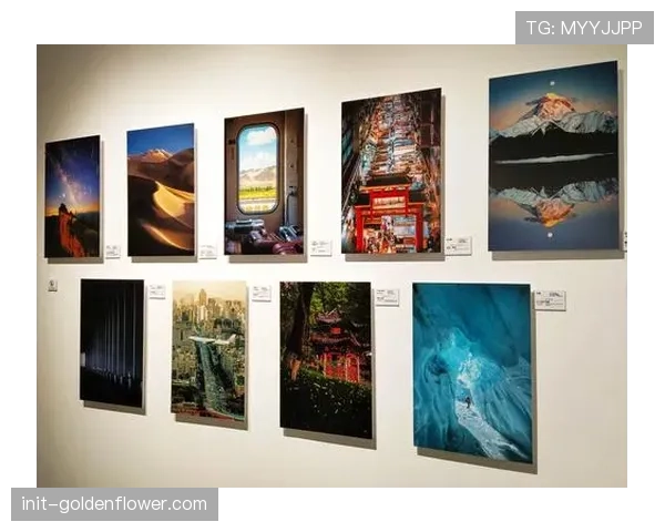 “柔道与和平”主题摄影展在东京奥林匹克博物馆开幕,展出来自冲突地区影像